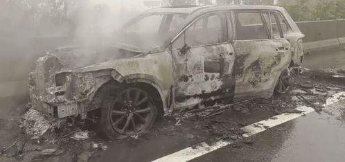 理想车主爆料视频最新版,揭秘理想L7性能与续航之谜